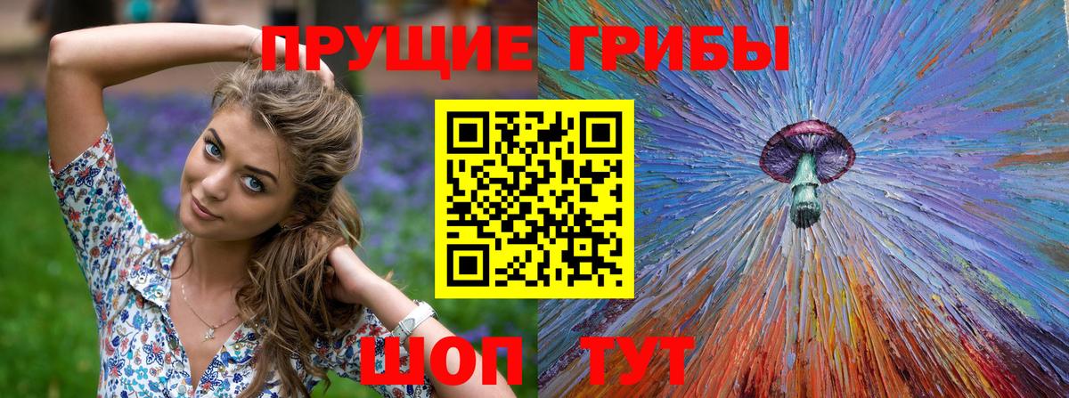 купить закладку  Псилоцибиновые грибы Magic Shrooms  Галлюциногенные грибы прущие грибы  Вход с VPN  Крымск 